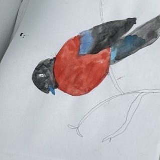 Снегирь на ветке