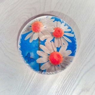 Любимые мамины ромашки