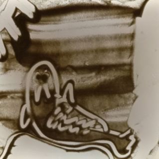 Красавчик морж