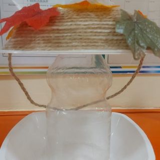 Покормите птиц зимой