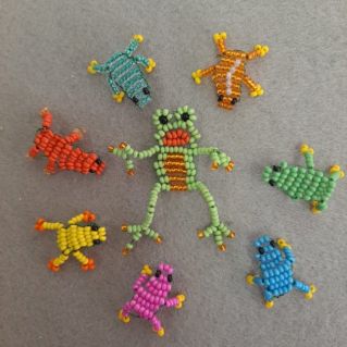 "Лягушачье царство"