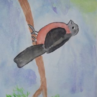 Зимний гость