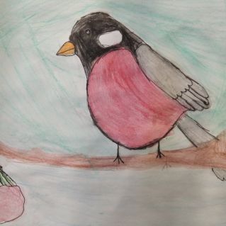 Снегирь на ветке