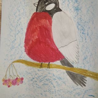 Снегирь в лесу