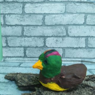 Донской нырок