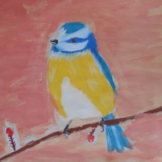 Красота синички