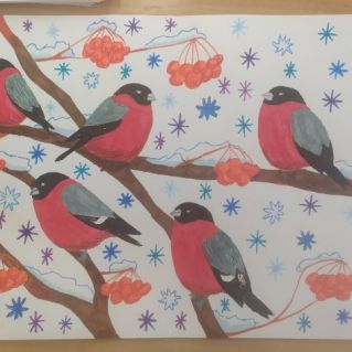 Снегири прилетели