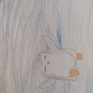 "Берегите Антарктику!"