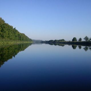 Родной Битюг