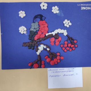 Зимний гость - снегирь