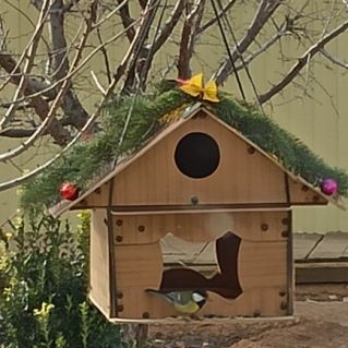 "Синица - осторожная птица"