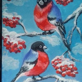 Яркие краски зимы