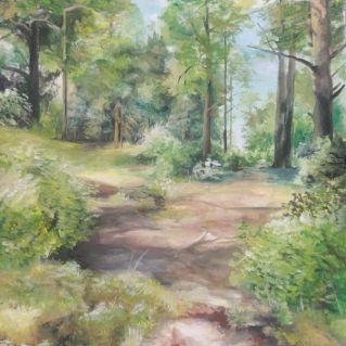 Амурские леса