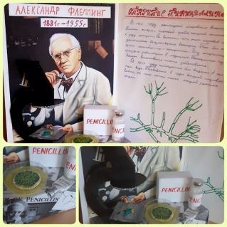 А. Флеминг. Открытие антибиотика пенициллина.
