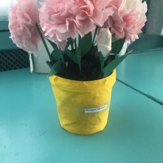 Цветы для моей мамочки