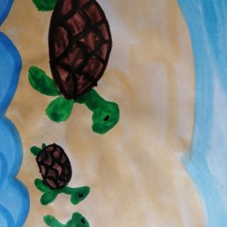 "Морская черепашка"