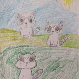 "Кузбасские еноты"