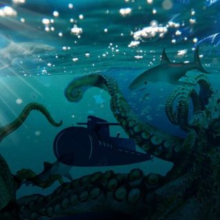 Подводный мир