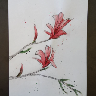 Цветение магнолии