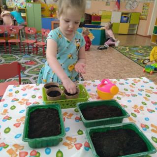 Огород на окошке