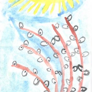 Теплое солнышко