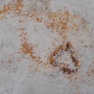 Золотая рыбка