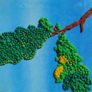 Листья дуба