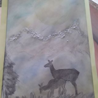 "Природа нашего края"