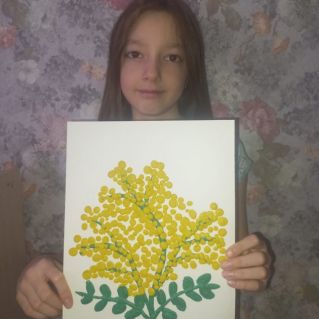 Цветок Мимоза