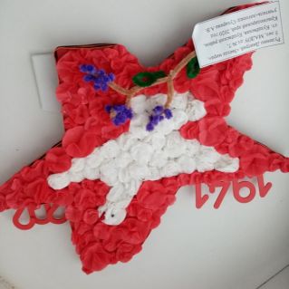 "Звезда мира"