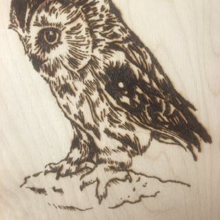 "Сова" (выжигание).
