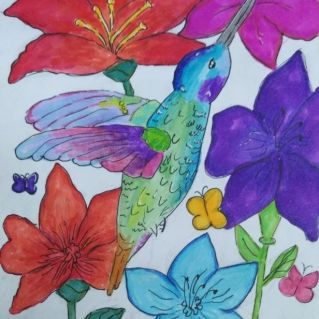 Райская птичка