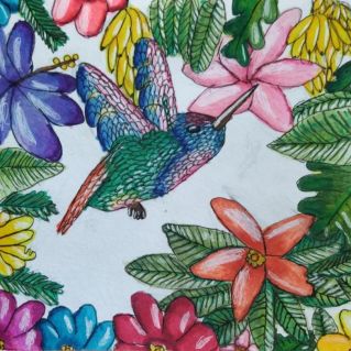 Райская птичка