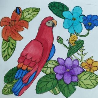 Райская птичка