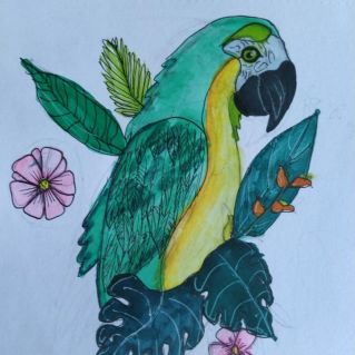 Попугайчик