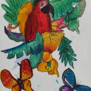 Райская птичка