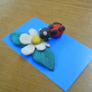 Божья коровка и ромашка