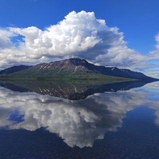 "Зеркальное отражение"