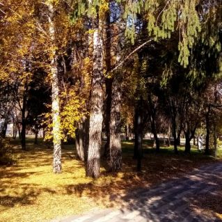 Осенний парк