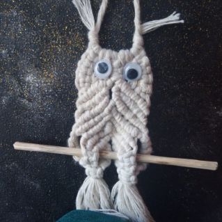 "Милая совушка"