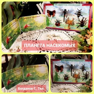 Удивительный мир насекомых (модель)