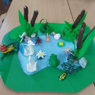 Кто живет в пруду?