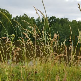 "Сердцу милый уголок"