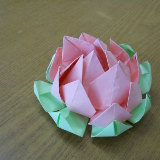 Очарование лотоса