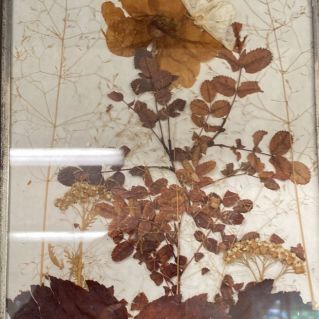 Не осень, а сказка.