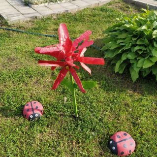 У цветка  вдвоём