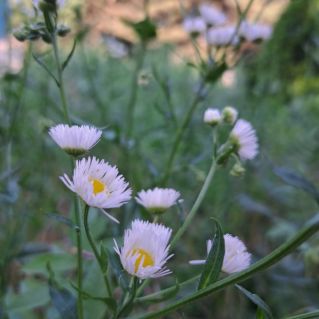 Красота природы.