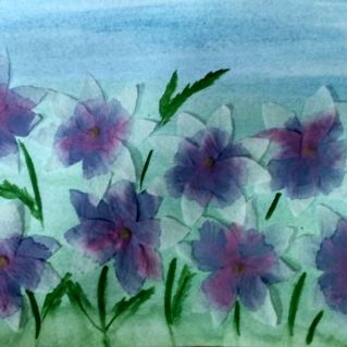 Полевые цветы