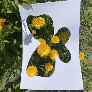 «Как прекрасен этот мир»