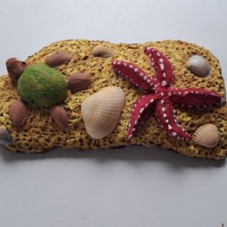 "Морская черепашка"